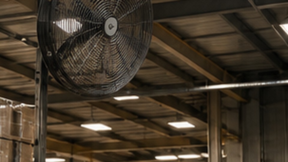 Why Does an LPG Forklift Lose Power When the Pressure Regulator Needs Service? - LPG forklift 2
