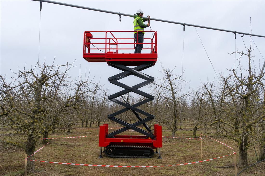 orchard infrastructure maintenance