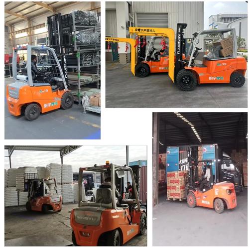 Взгляд сквозь время и пространство: генетическая трансформация